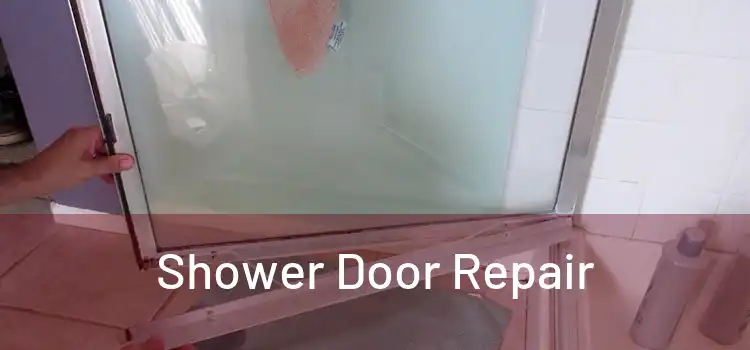 Shower Door Repair